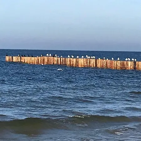 Апартаменты Sloneczny Ii *