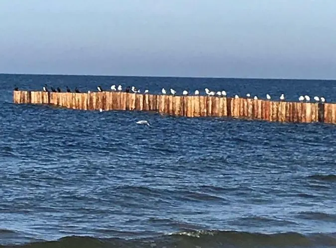 Апартаменты Sloneczny Ii *